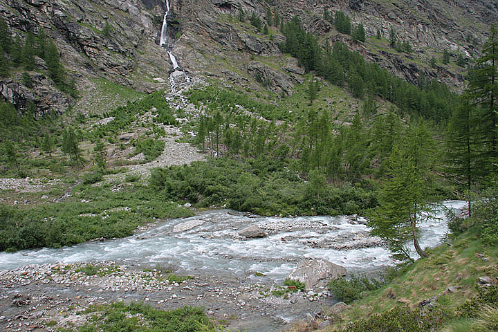 il Gran Paradiso e i suoi animali